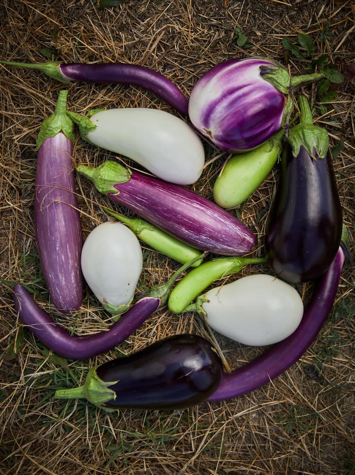 Padlizsán mix